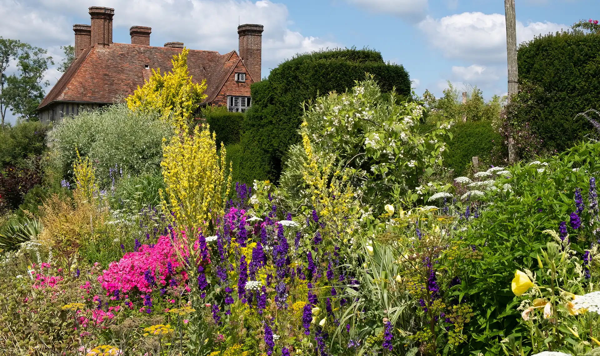 Hero Trunk Gartenbau