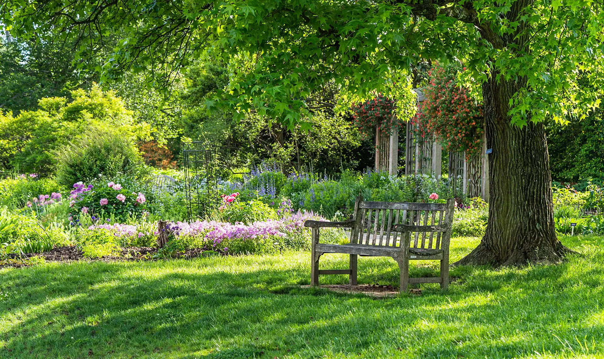 Hero Trunk Gartenbau